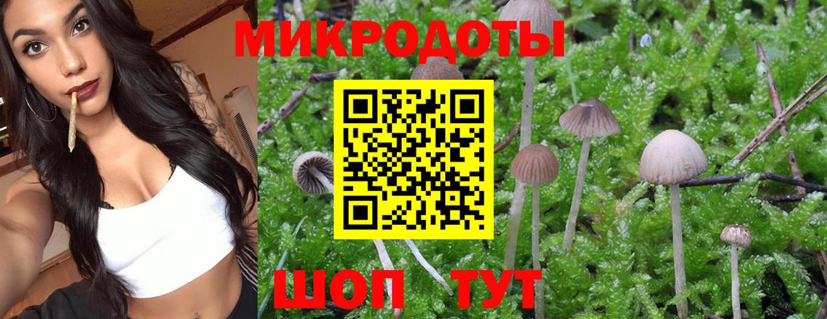 Галлюциногенные грибы MAGIC MUSHROOMS Донской