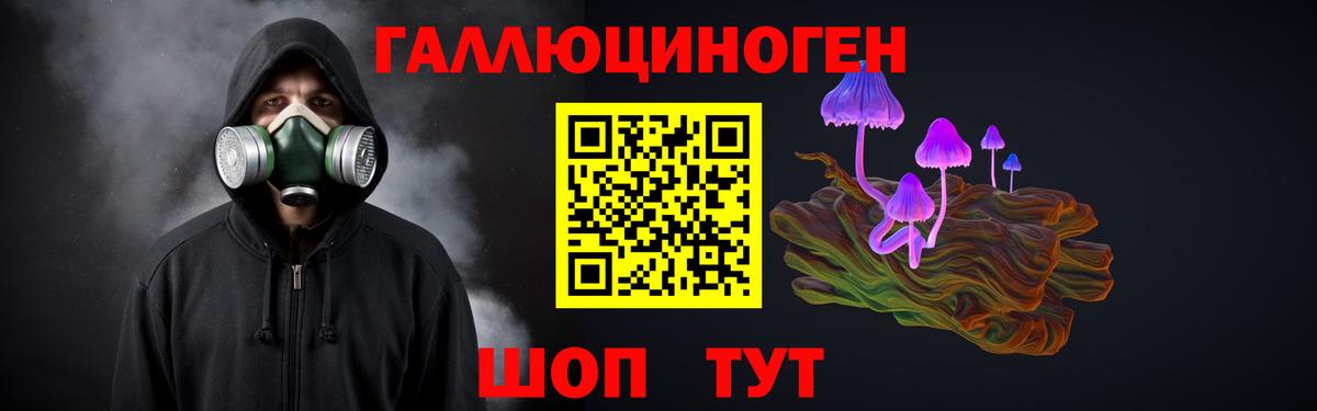Донской  наркота  Вход с VPN  Галлюциногенные грибы мухоморы 