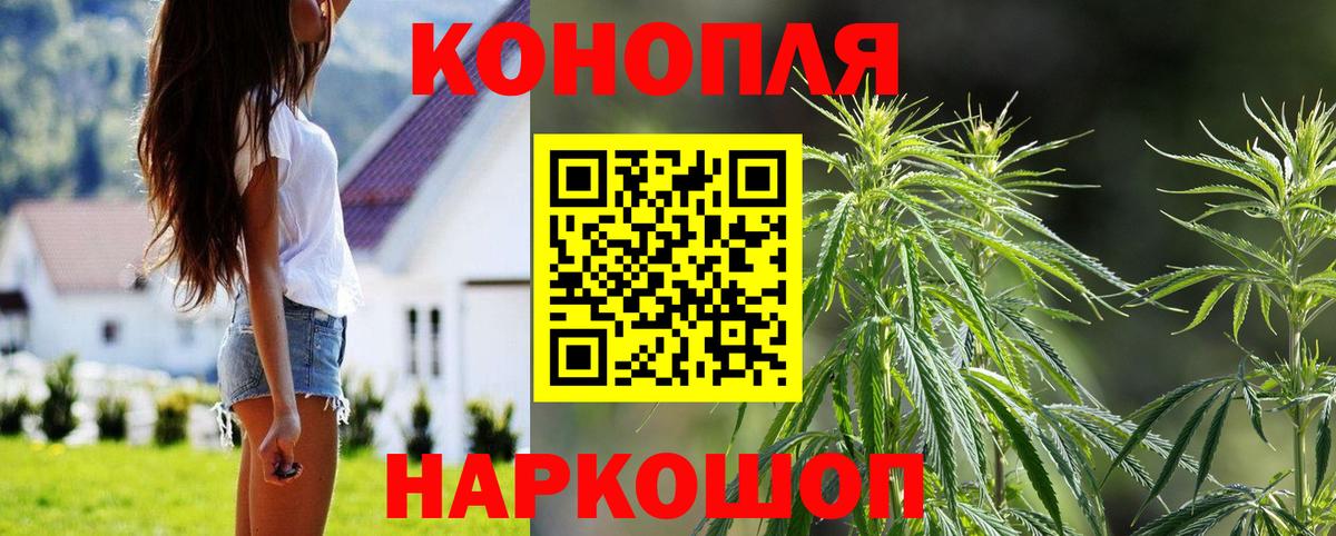 Галлюциногенные грибы Донской